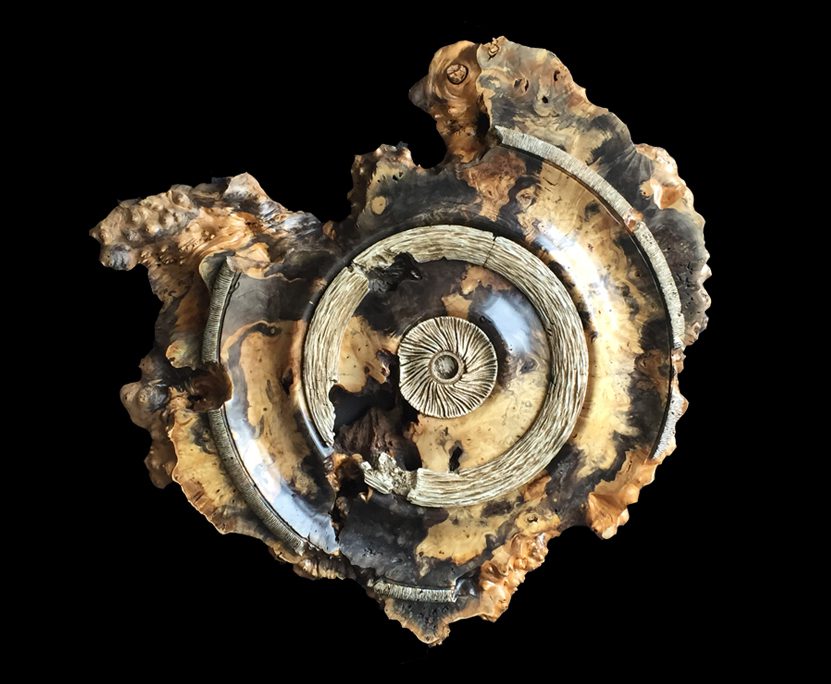 Buckeye_35x35_2785_20_Black