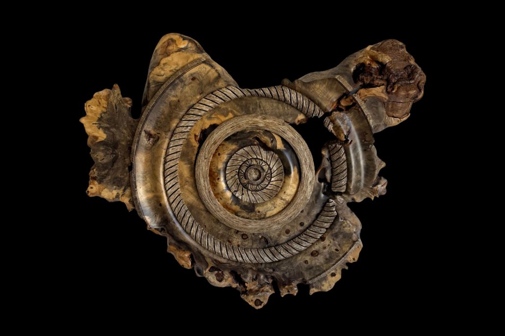 Buckeye Burl, original artwork photograph
