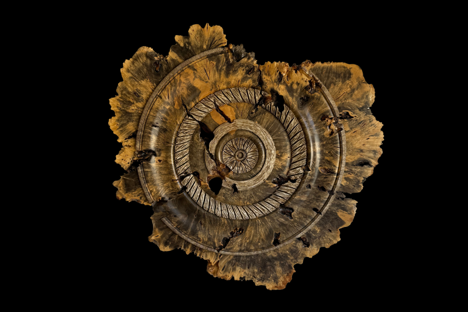 Buckeye Burl, original artwork photograph