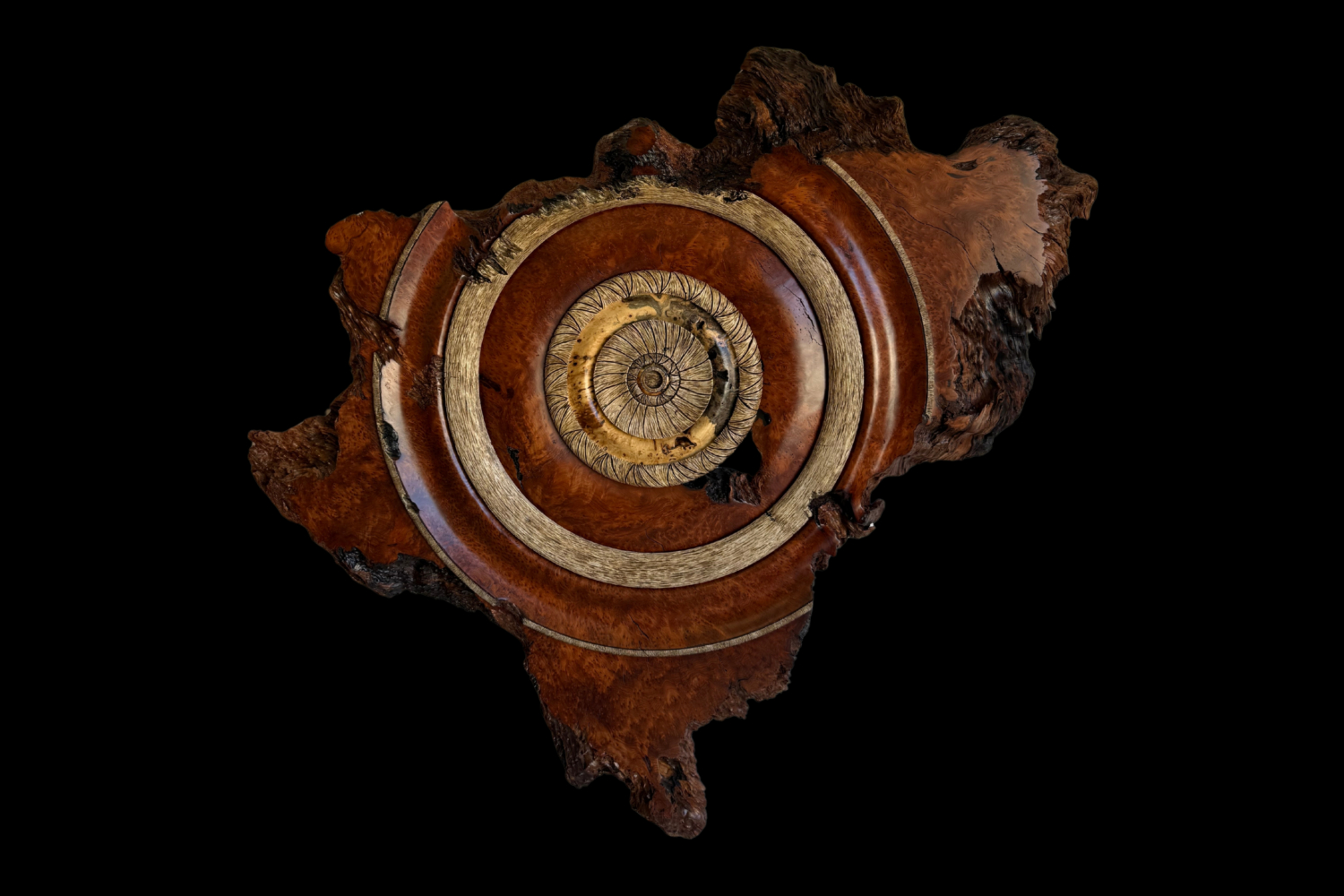 Redwood Burl with Buckeye Inset, original artwork photograph
