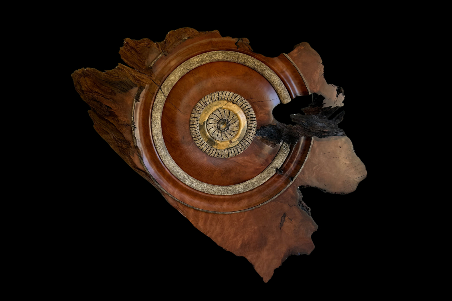 Redwood Burl with Buckeye Inset, original artwork photograph