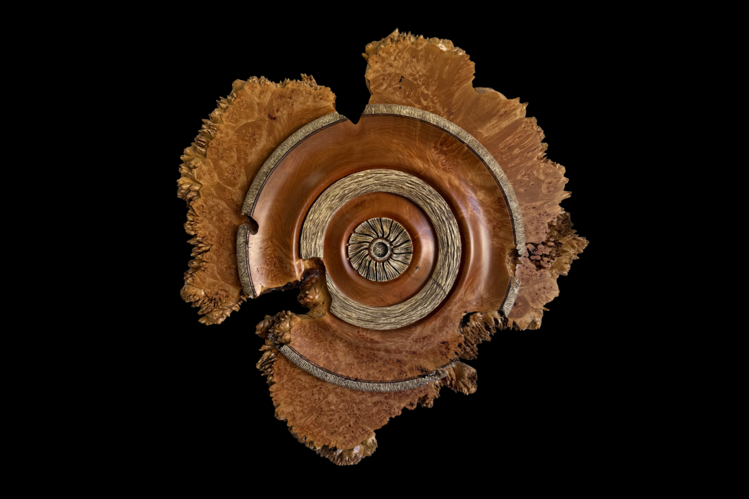 Maple Burl, original artwork photograph