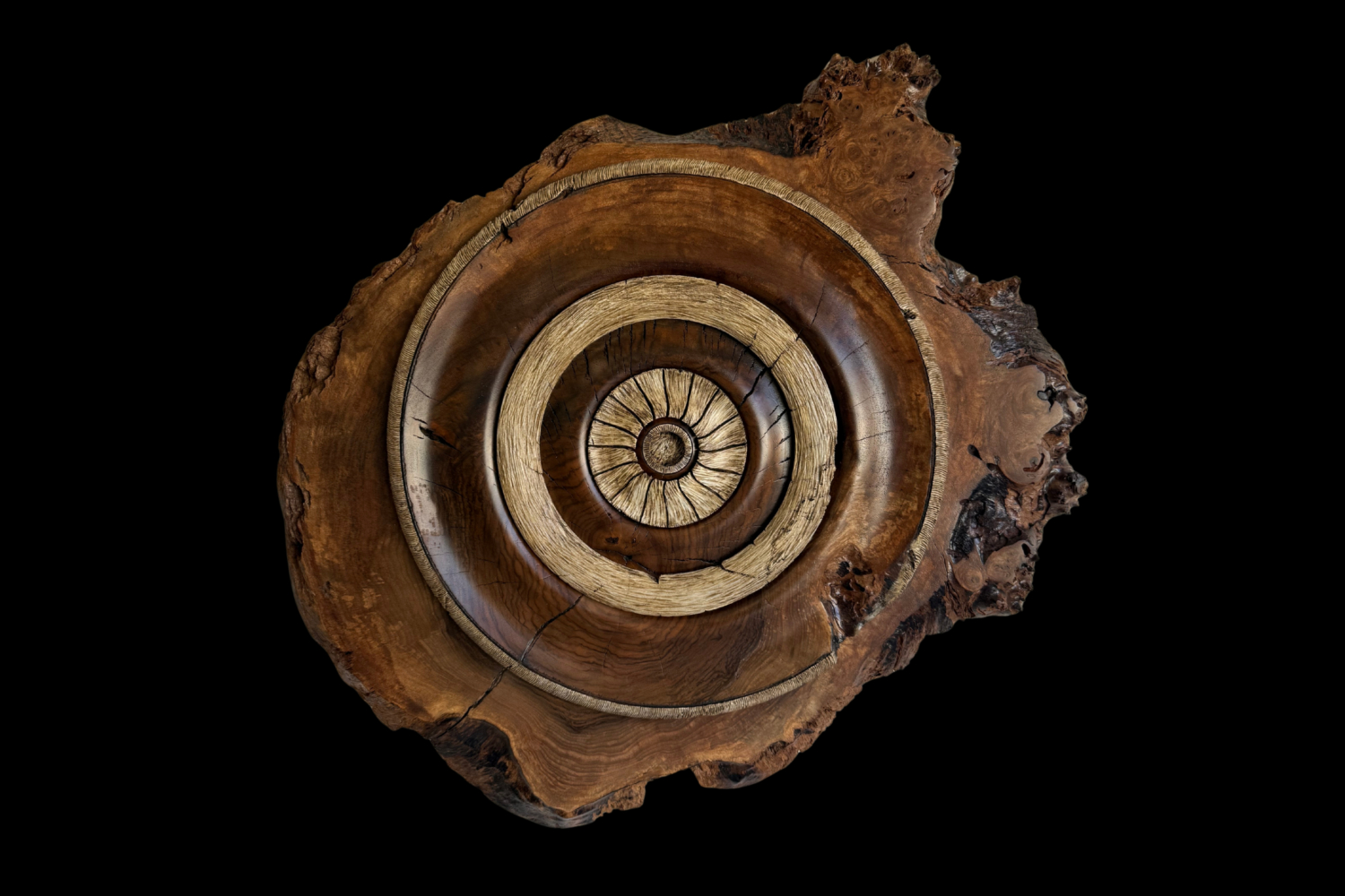 Walnut Burl, original artwork photograph
