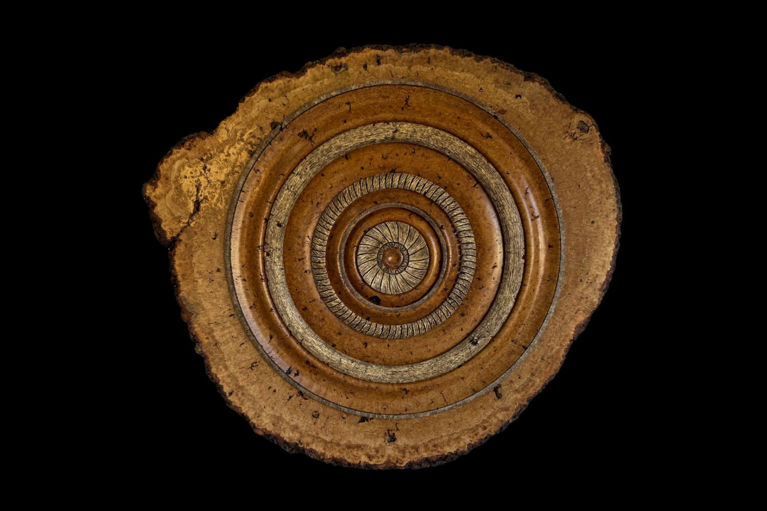 White Oak Burl, original artwork photograph