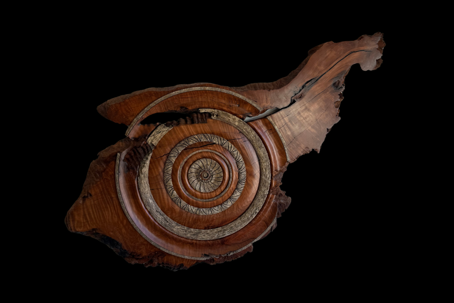 Curly Redwood Burl, original artwork photograph