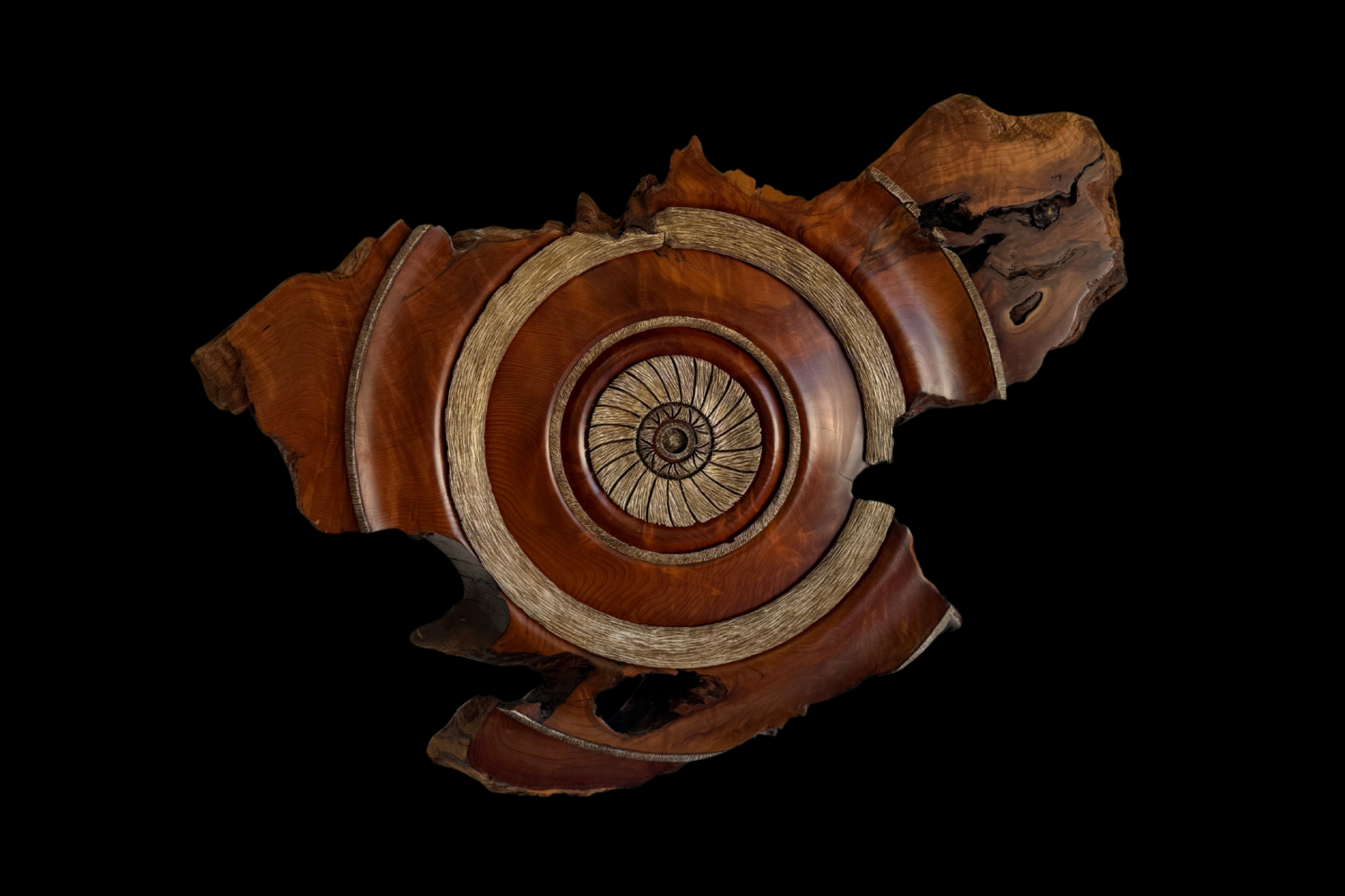 Redwood Burl, original artwork photograph
