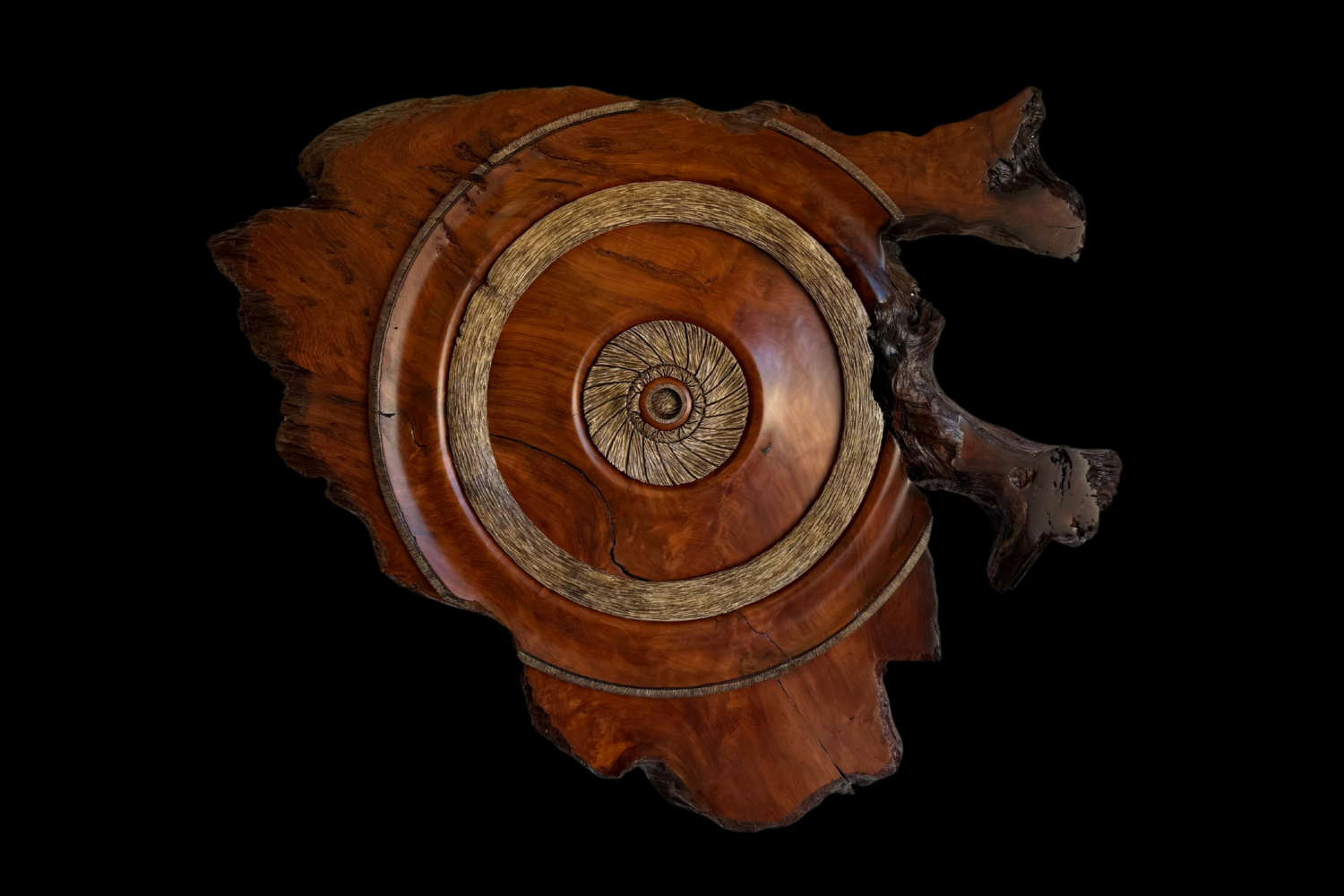 Redwood Burl, original artwork photograph