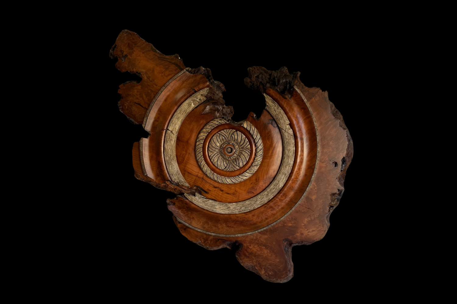 Redwood Burl, original artwork photograph