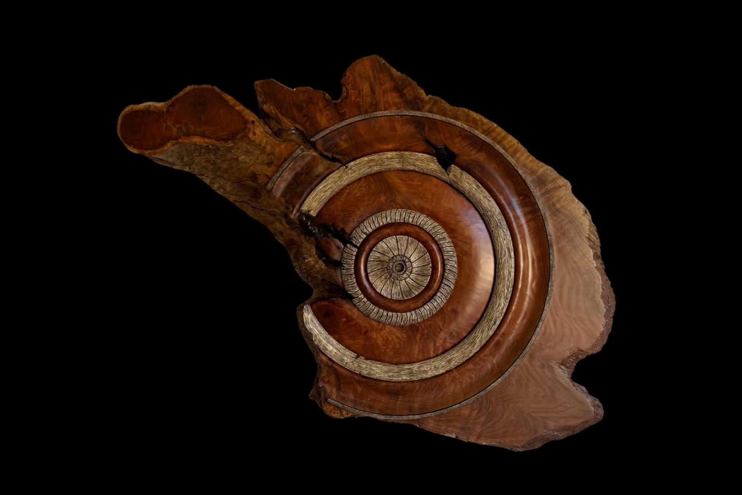 Redwood Burl, original artwork photograph
