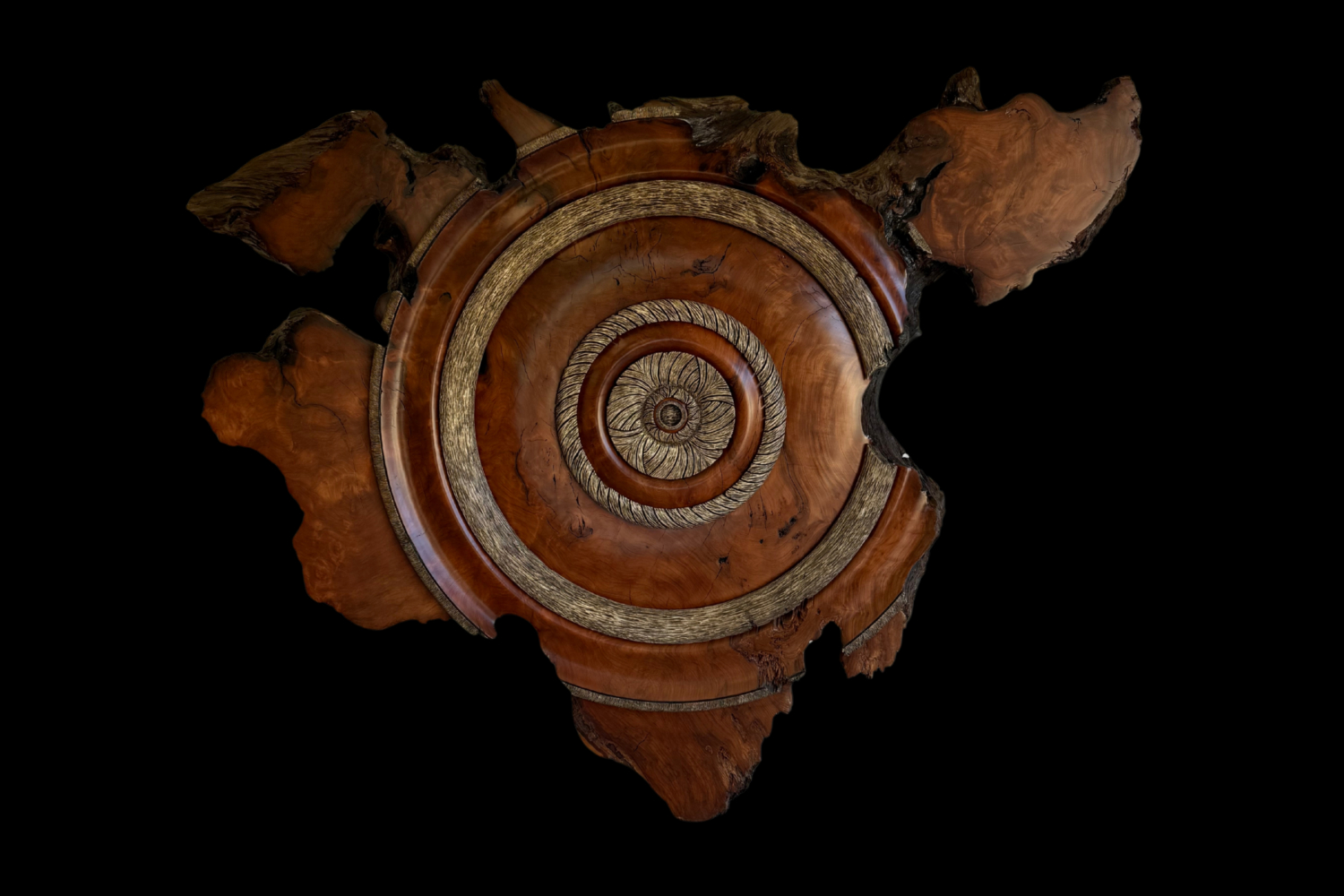 Redwood Burl, original artwork photograph