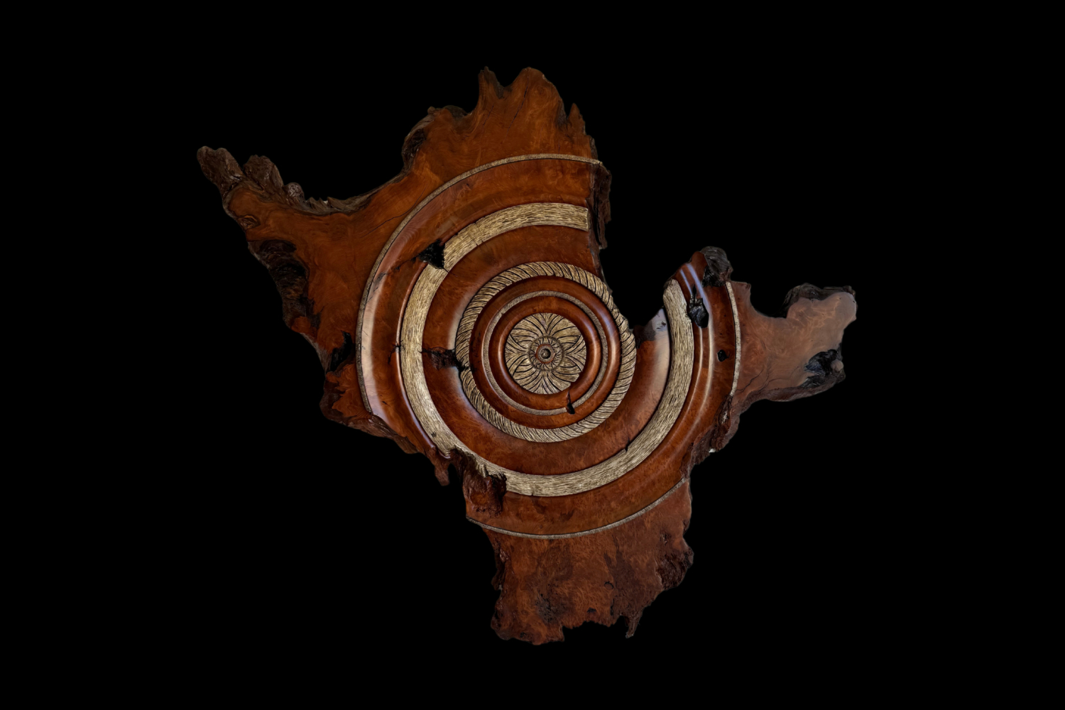 Redwood Burl, original artwork photograph